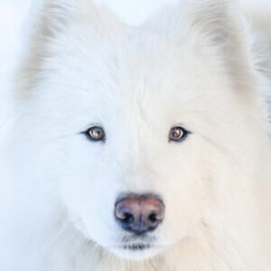 Profile photo of suman